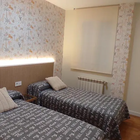 Vista Gotica Catedral Spain